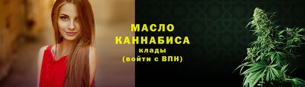 молекула духа Покров