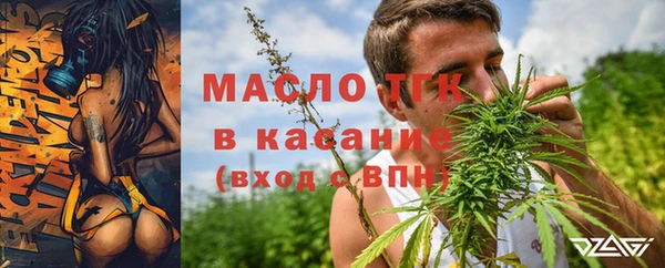 гидропоника Алзамай