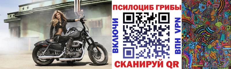 Галлюциногенные грибы Magic Shrooms  площадка формула  Губкин  купить  цена 