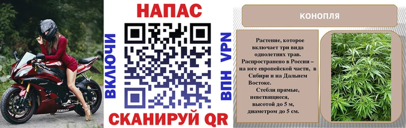Шишки марихуана сатива Губкин